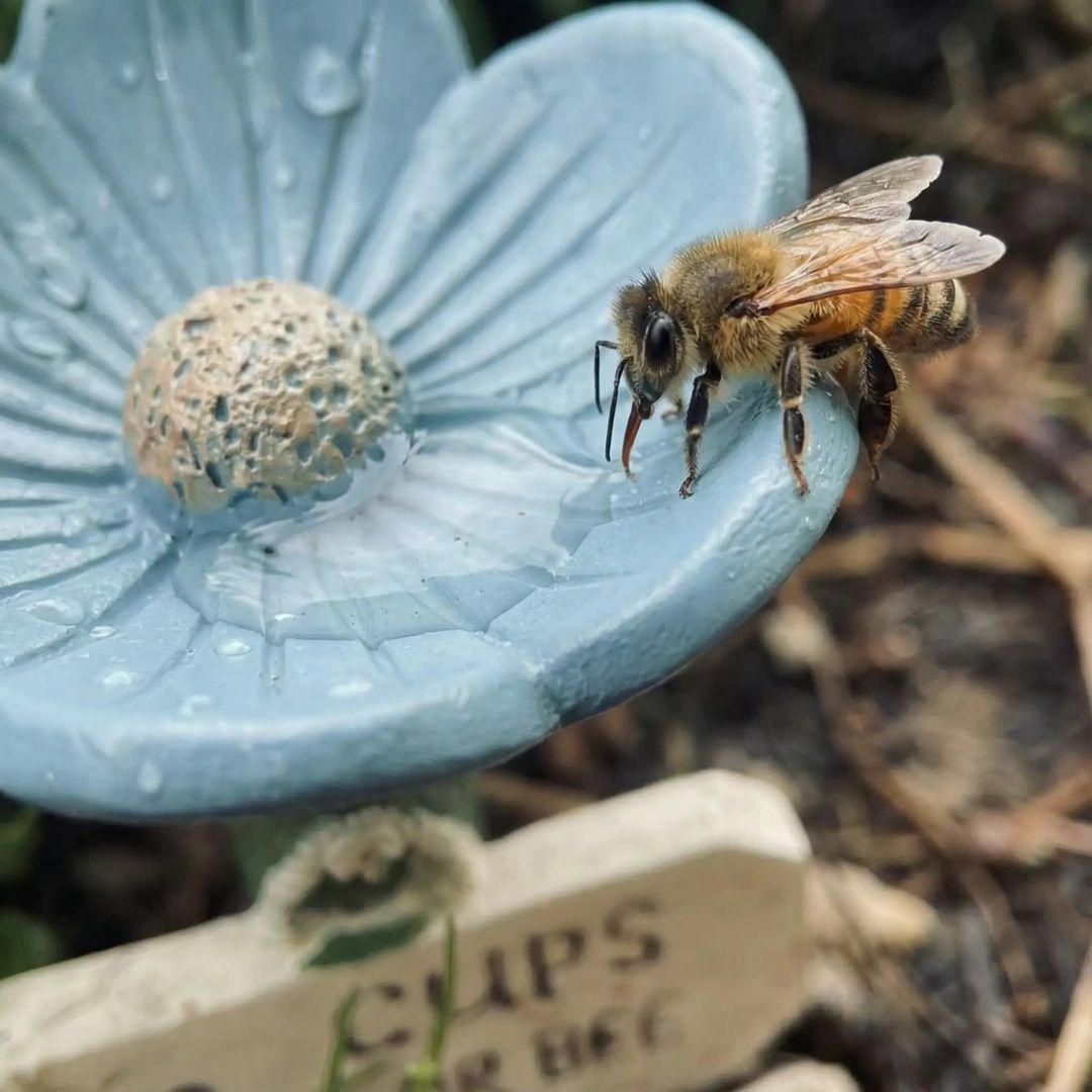 ESTACIÓN DE AGUA EN FORMA DE FLOR: Refugio decorativo para abejas y polinizadores🌸