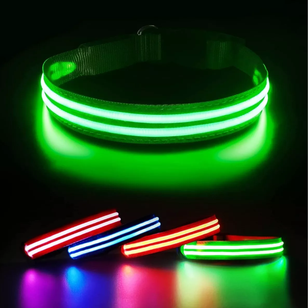 Collar de seguridad para perros con luz LED nocturna