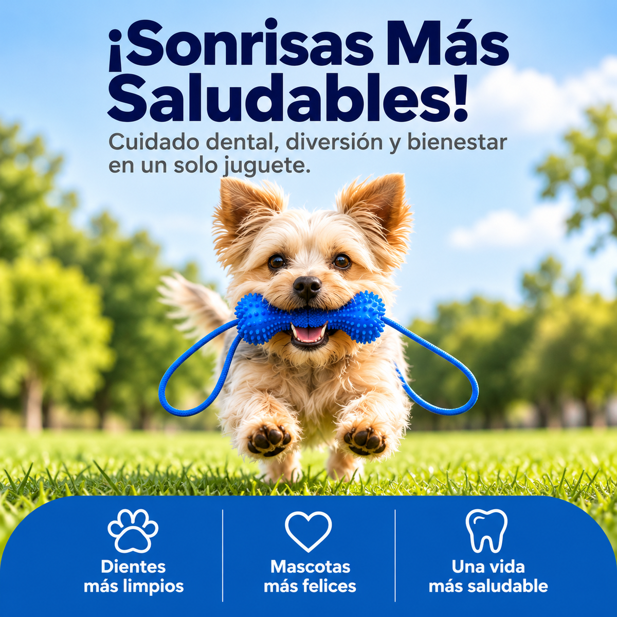 Accesorio Dental de Doble Acción para Perros 🐶🦷