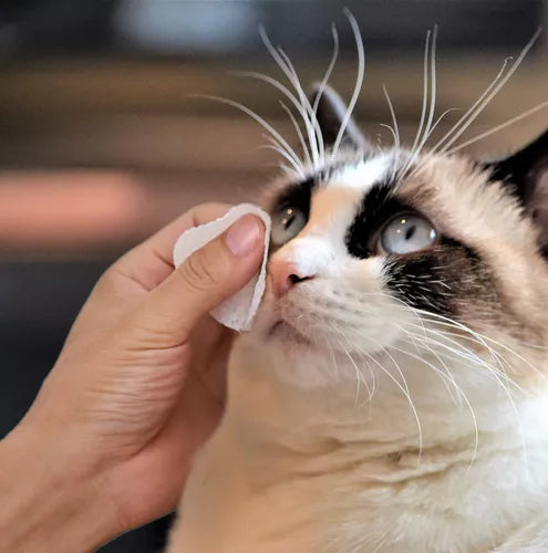 TOALLITAS HÚMEDAS CUIDADO INTEGRAL OJOS DE MASCOTAS (Gratis libro digital)
