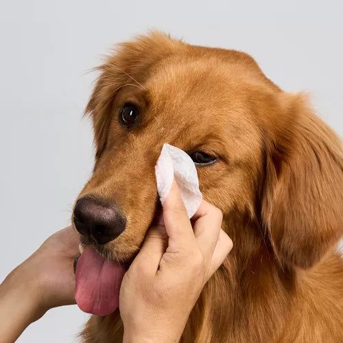 TOALLITAS HÚMEDAS CUIDADO INTEGRAL OJOS DE MASCOTAS (Gratis libro digital)