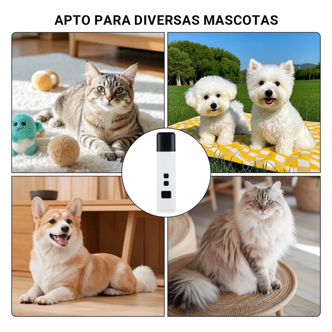 💅🏻CORTAÚÑAS LED PROFESIONAL: Luz de alta precisión para un corte seguro y sin dolor