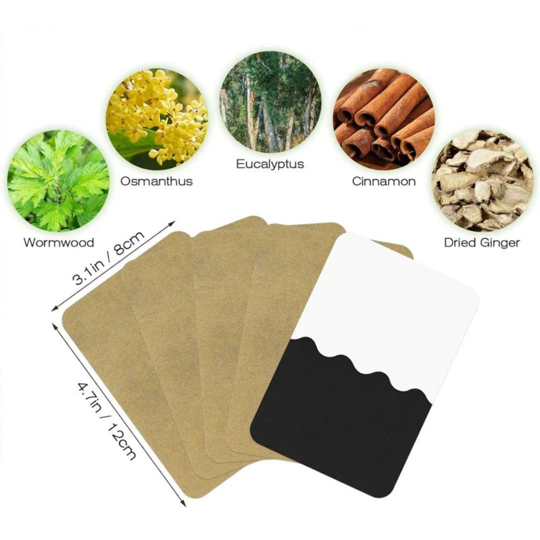 🌿 Parches de jengibre pro: alivio térmico (caja x50)