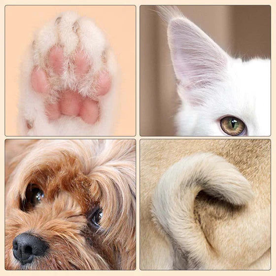 AFEITADORA PARA MASCOTAS PROCARE®
