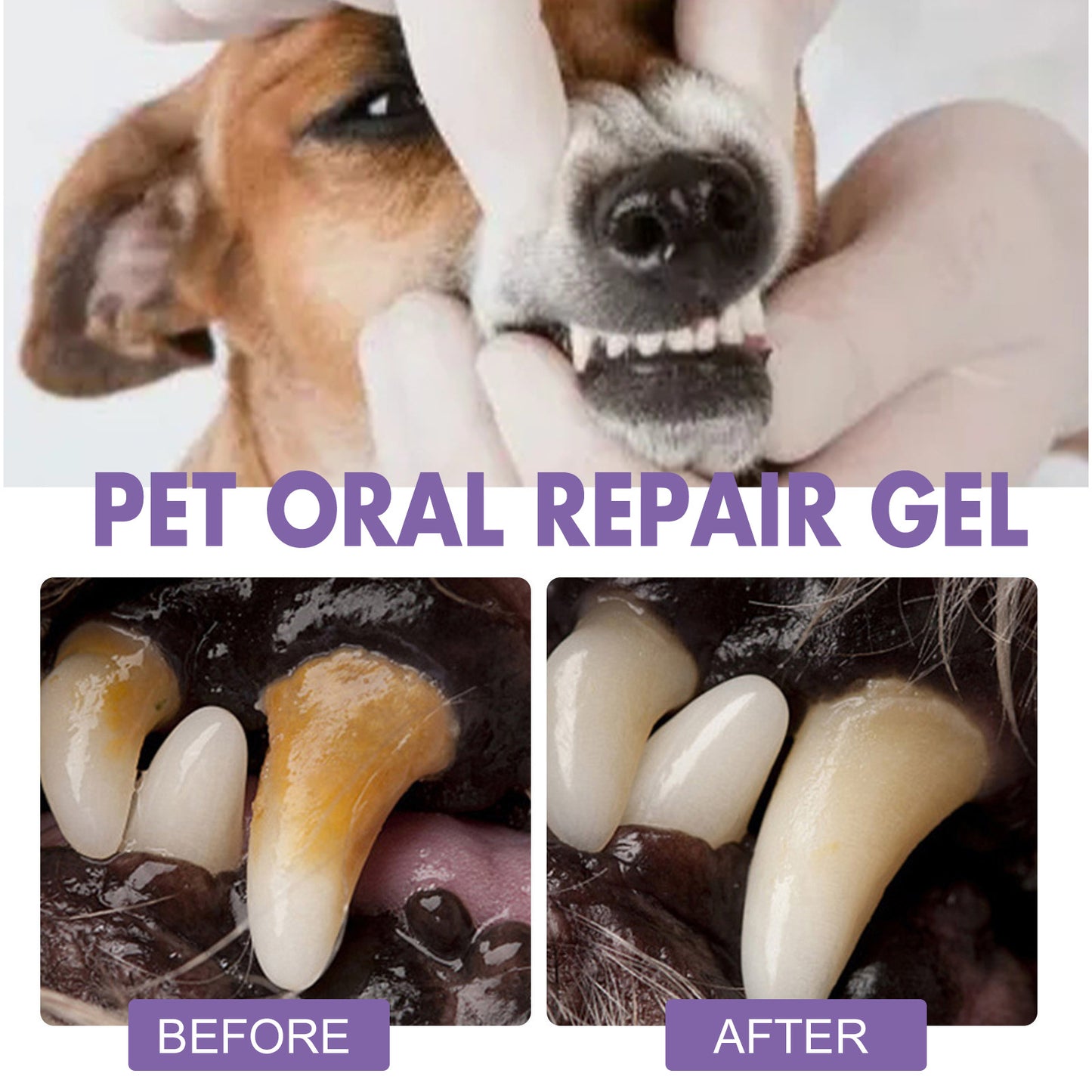 Gel Reparador Bucal para Mascotas – MuzzleGlow (Paga 1 lleva 2)