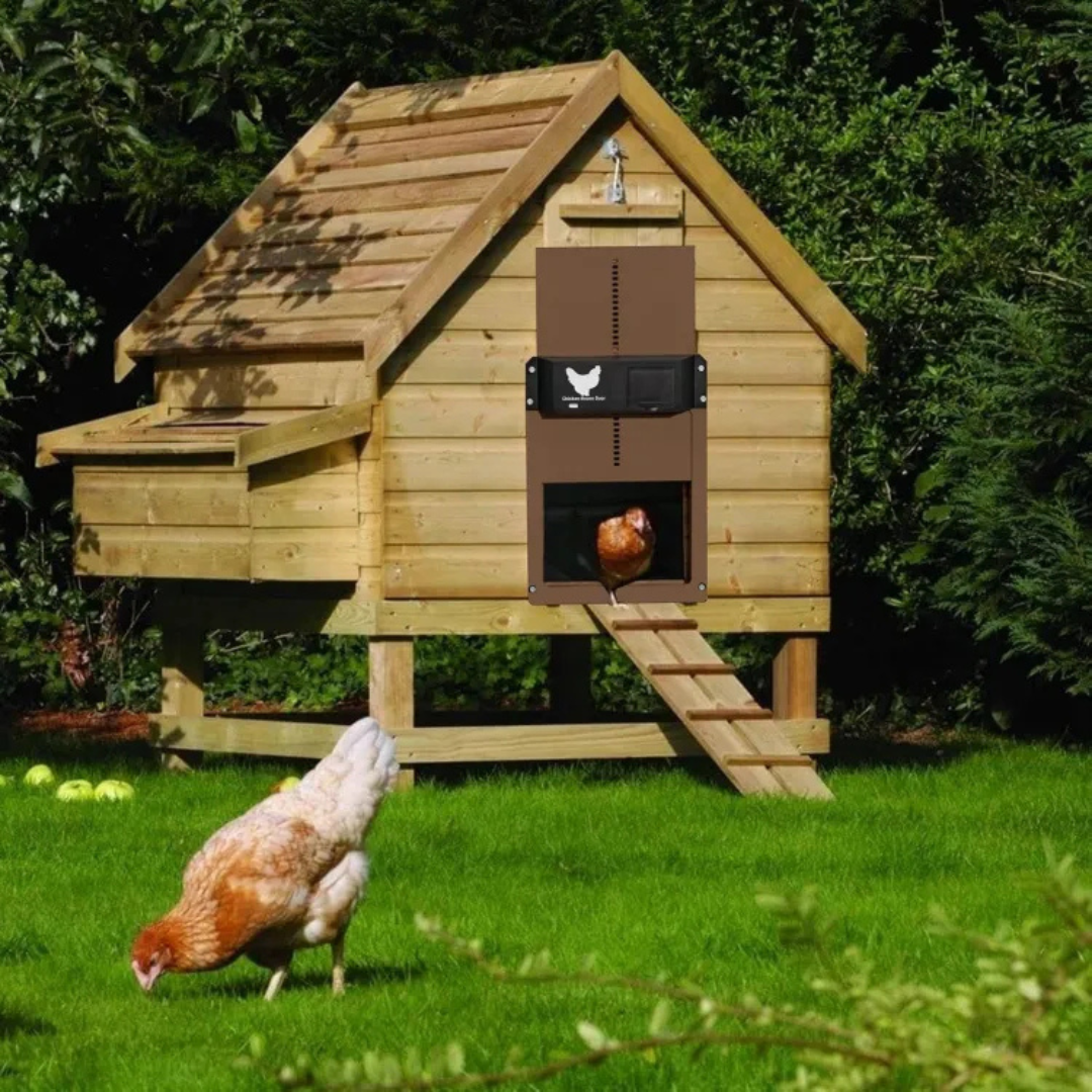 PUERTA AUTOMÁTICA PARA GALLINERO: Sensor de luz inteligente🐔🐓