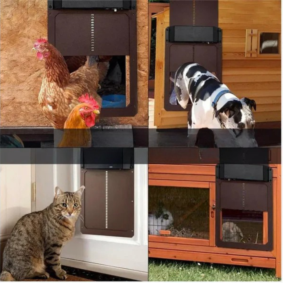 PUERTA AUTOMÁTICA PARA GALLINERO: Sensor de luz inteligente🐔🐓