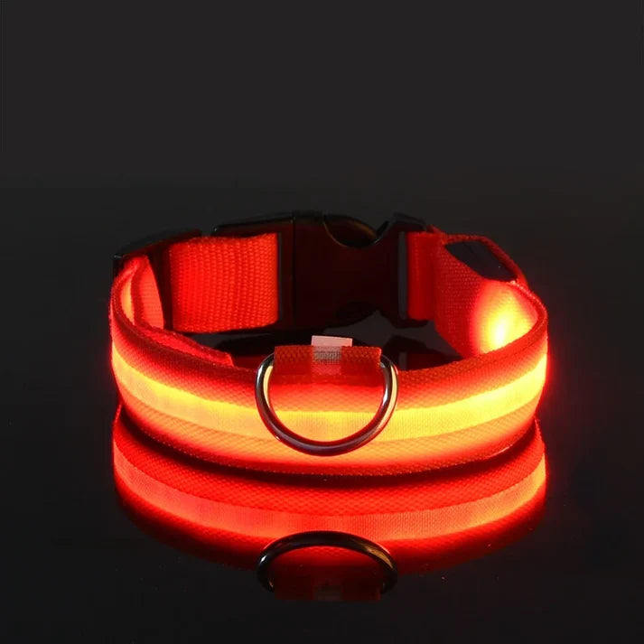 Collar de seguridad para perros con luz LED nocturna