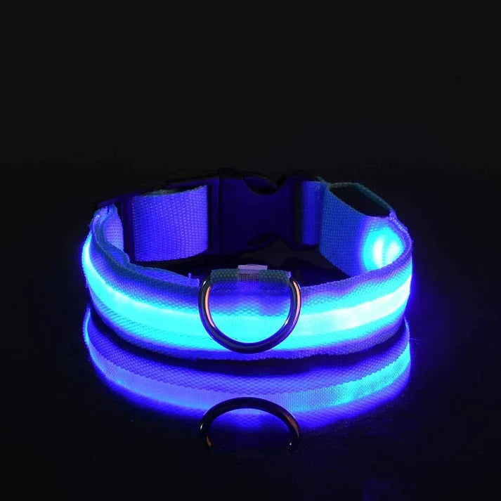 Collar de seguridad para perros con luz LED nocturna