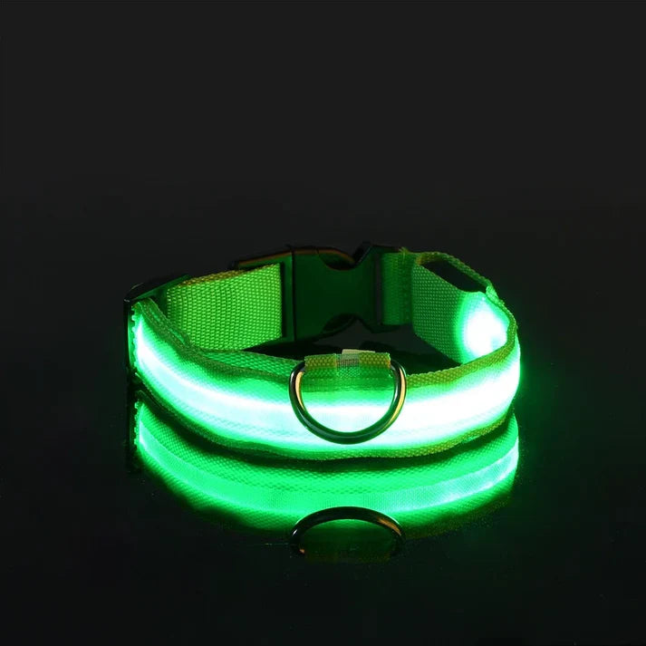 Collar de seguridad para perros con luz LED nocturna