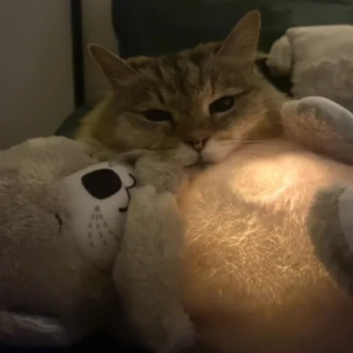 Peluche de nutria que respira - calma de ansiedad mascotas