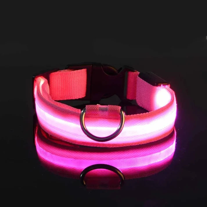 Collar de seguridad para perros con luz LED nocturna