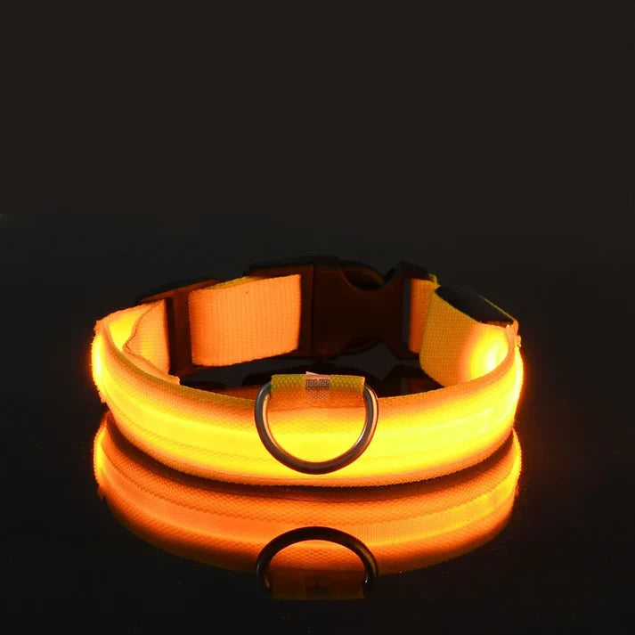 Collar de seguridad para perros con luz LED nocturna