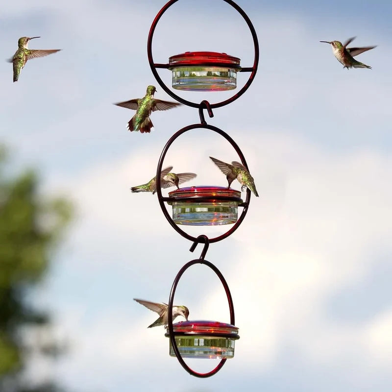 Comedero atrae colibríes y disfruta la magia🌈