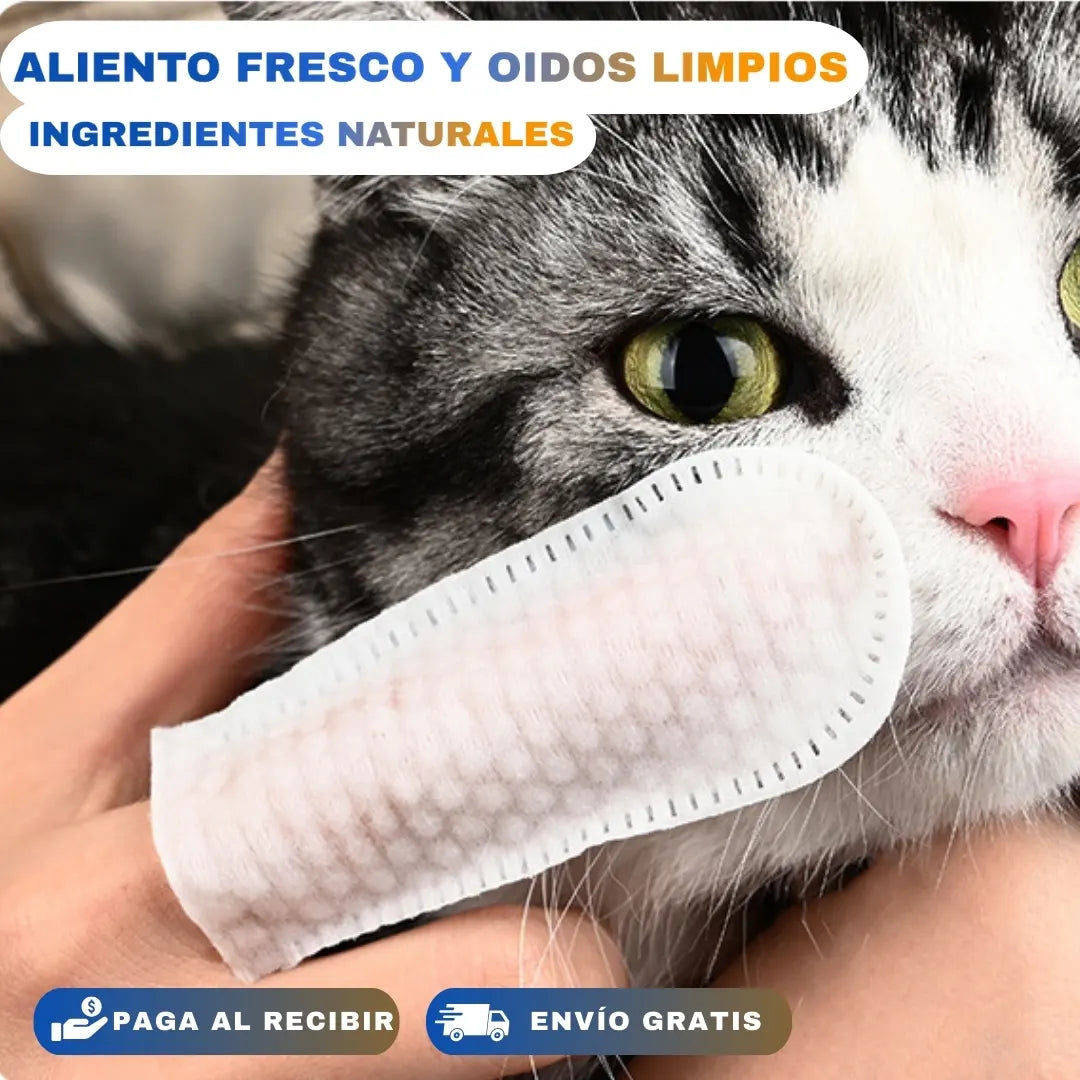 Toallitas húmedas de limpieza doble cuidado 50unds🐕🐈Recibe gratis libro digital