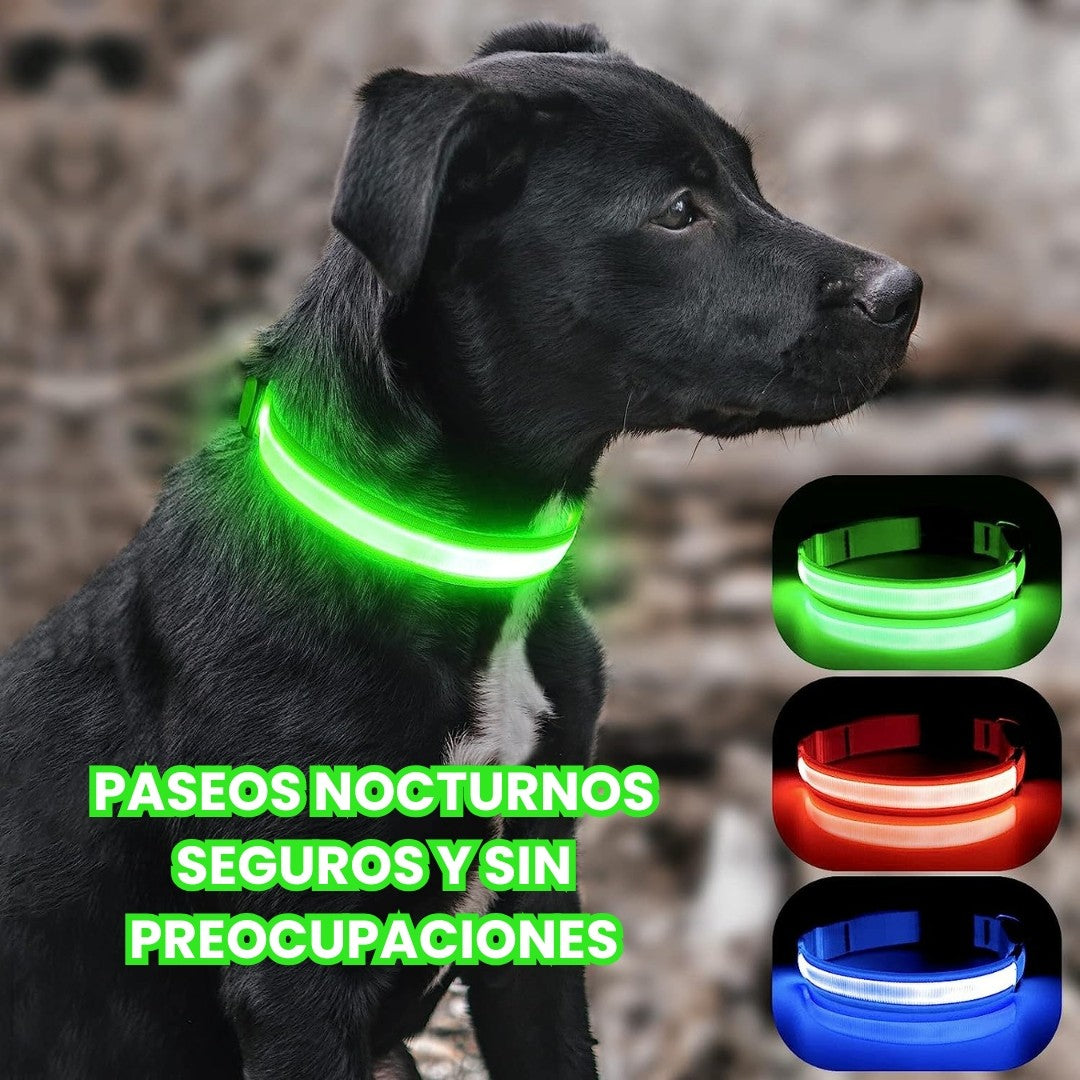 Collar de seguridad para perros con luz LED nocturna