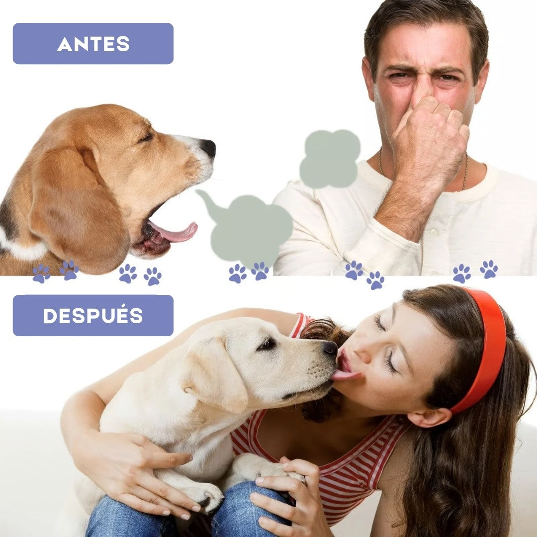 SPRAY CUIDADO DENTAL MASCOTAS
