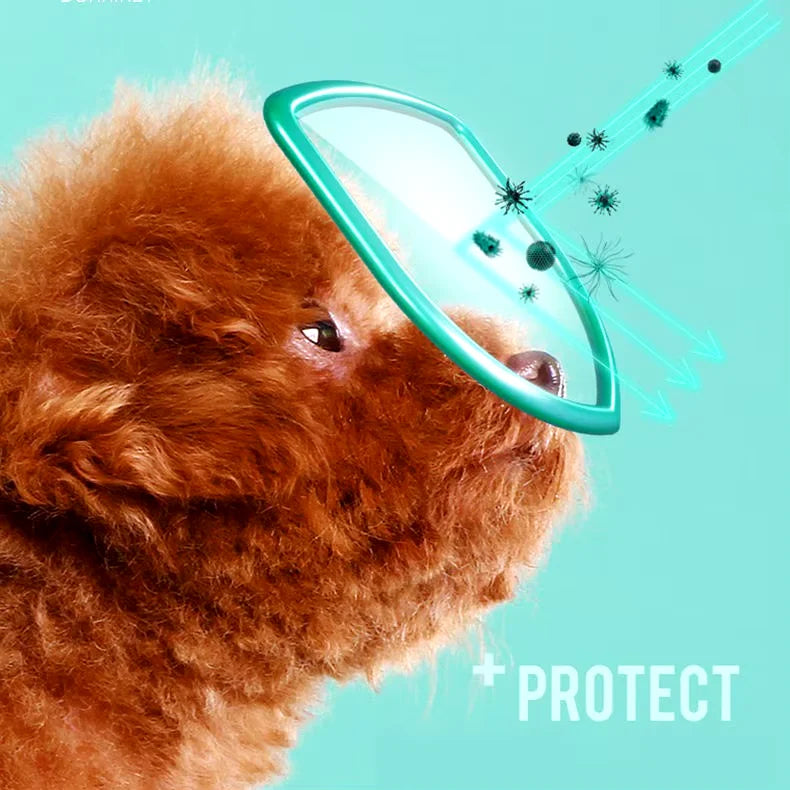 TOALLITAS HÚMEDAS CUIDADO INTEGRAL OJOS DE MASCOTAS (Gratis libro digital)