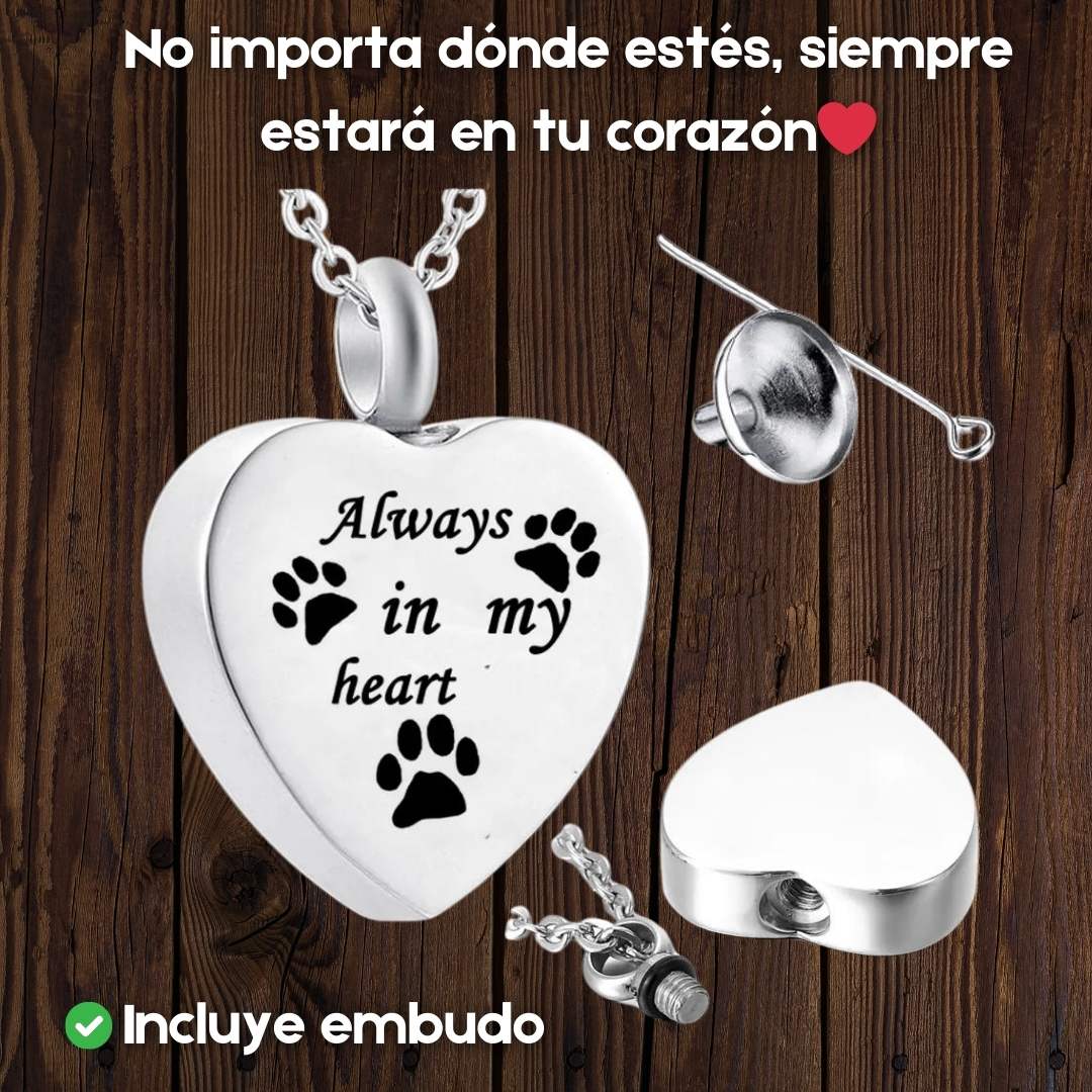 COLLAR SIEMPRE EN MI CORAZÓN🐾 EMBUDO+CAJA DE REGALO GRATIS