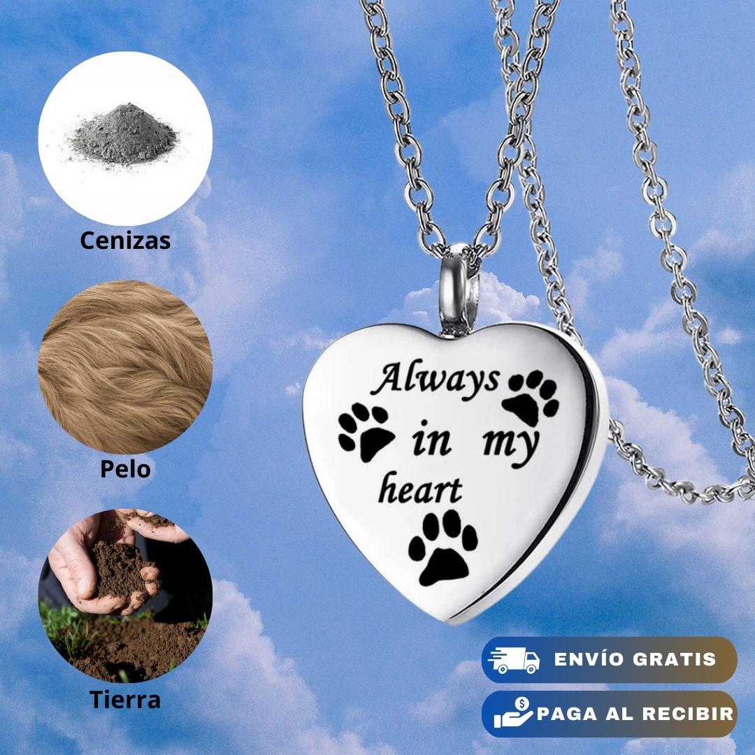 COLLAR SIEMPRE EN MI CORAZÓN🐾 EMBUDO+CAJA DE REGALO GRATIS