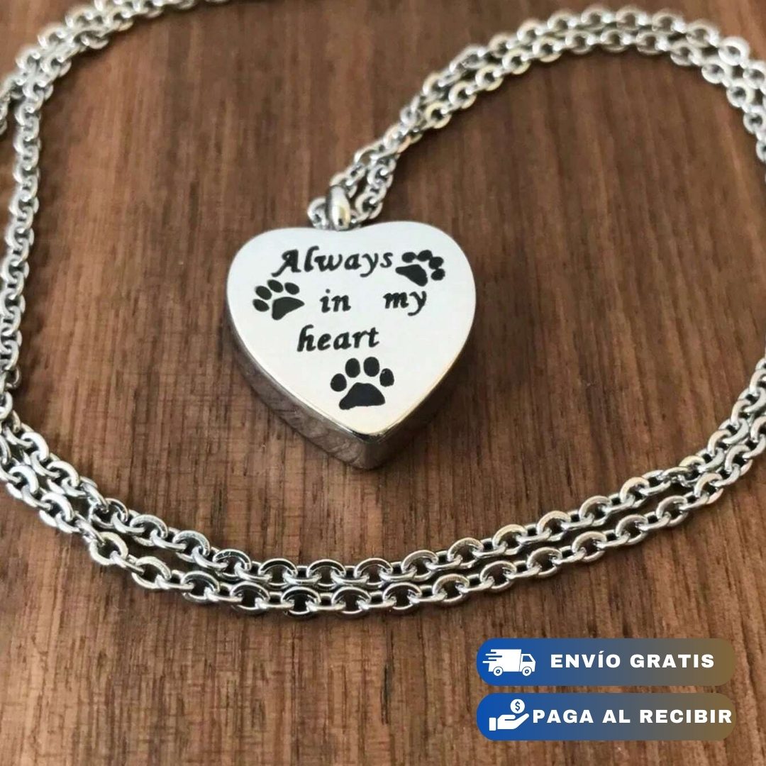 COLLAR SIEMPRE EN MI CORAZÓN🐾 EMBUDO+CAJA DE REGALO GRATIS