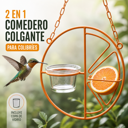 Comedero Premium 2 en 1 para Colibríes | Copa de Vidrio y Diseño de Alta Atracción🐦❤️‍🔥