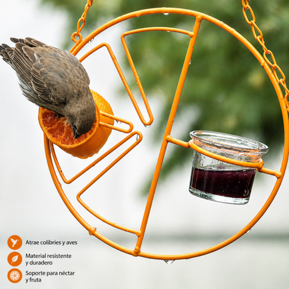 Comedero Premium 2 en 1 para Colibríes | Copa de Vidrio y Diseño de Alta Atracción🐦❤️‍🔥