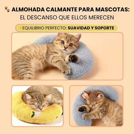🐾 Almohada Calmante para Mascotas: El Descanso que Ellos Merecen