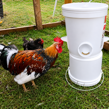 Kit x4 Comederos Automáticos para Aves 🪣