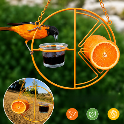 Comedero Premium 2 en 1 para Colibríes | Copa de Vidrio y Diseño de Alta Atracción🐦❤️‍🔥