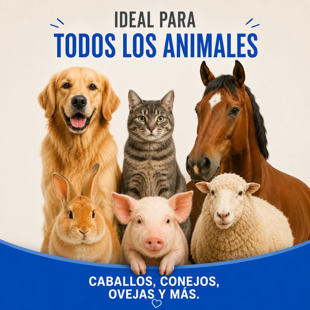 Removedor de Pelo de Mascotas Pro (Oferta Especial 2x1)🦌🐽