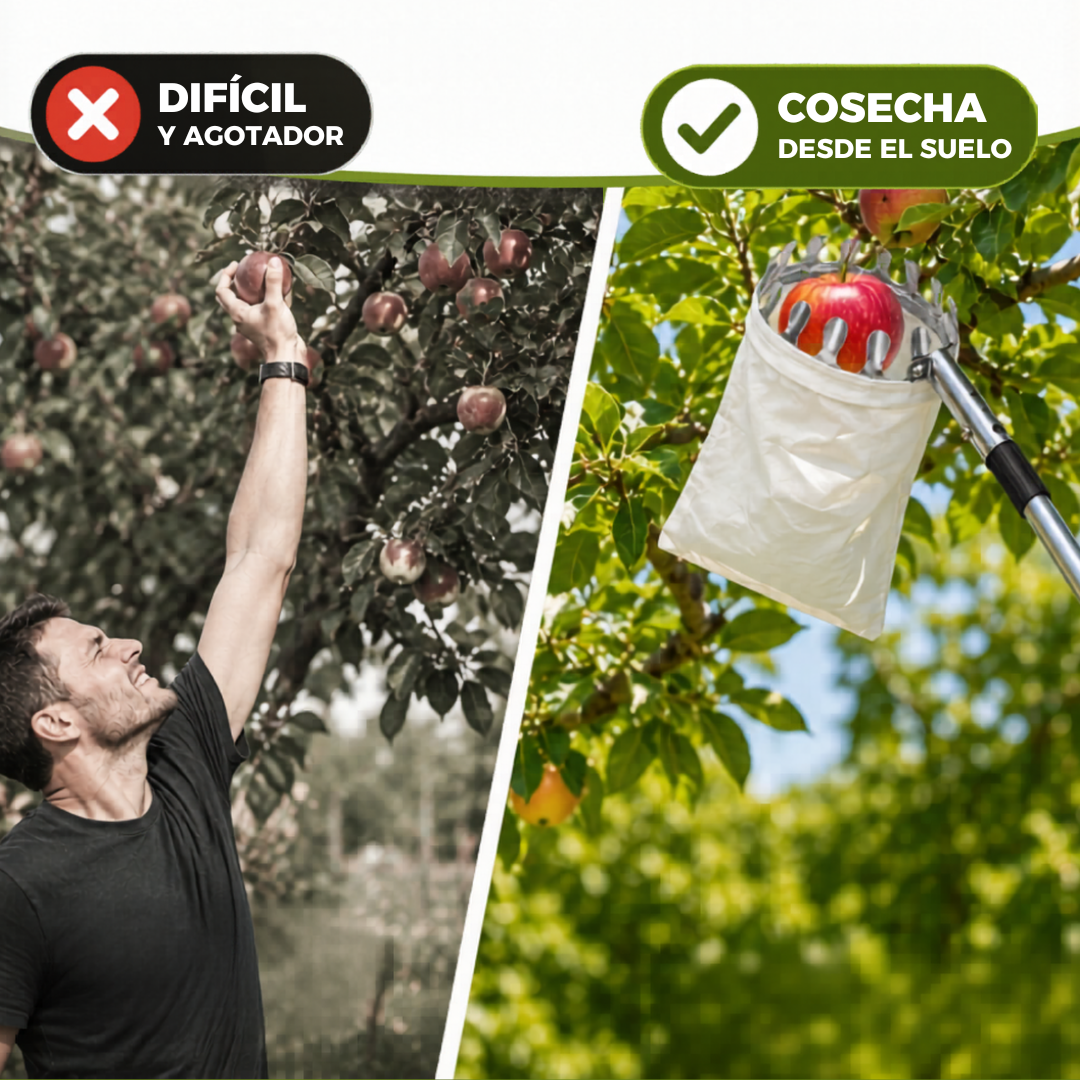 🍎 Cesta Recolectora de Frutas: Cosecha Fácil y sin Caídas