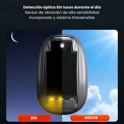 💡LUZ DE TECHO DE AUTOMÓVIL: Mejora la visibilidad y el estilo de tu vehículo con una iluminación inteligente que se activa sola