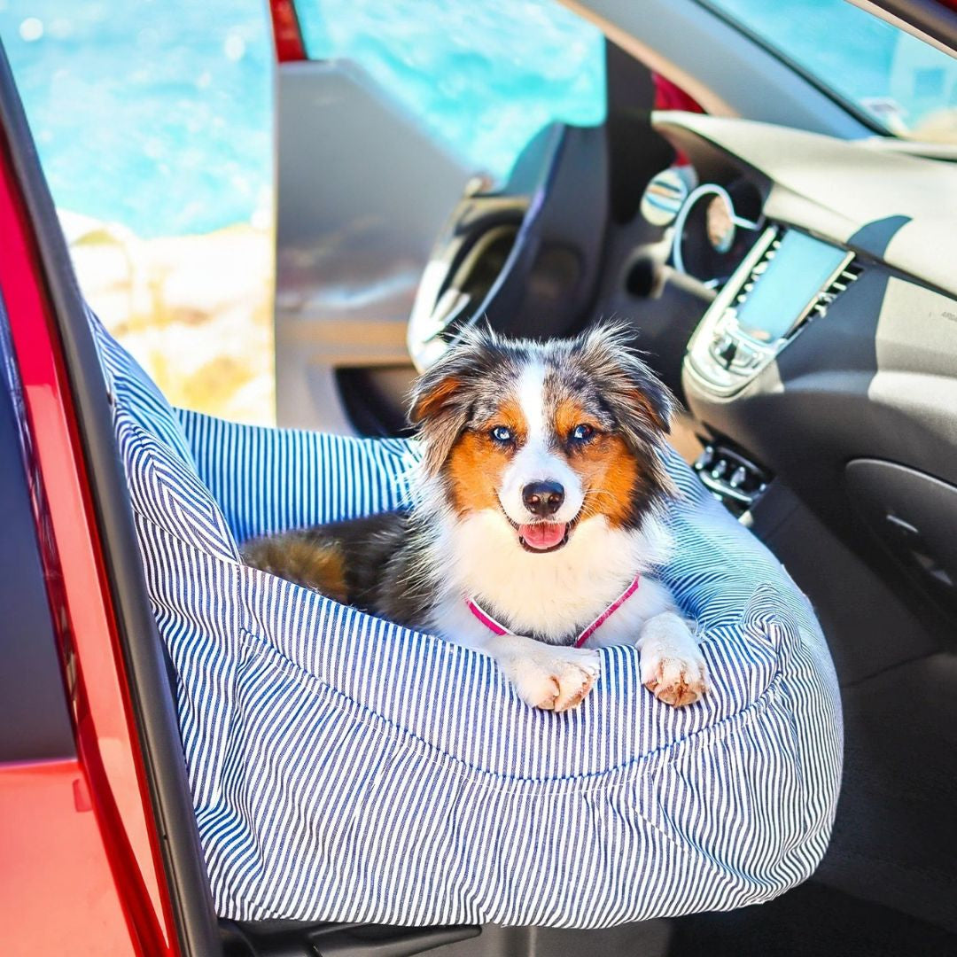 🐶ASIENTO DE COCHE PARA PERROS DE PRIMERA CALIDAD: Protege a tu mascota y garantiza viajes sin estrés