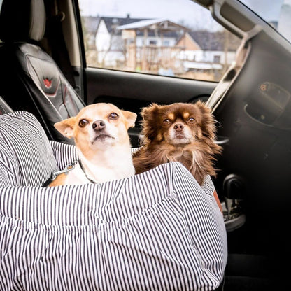 🐶ASIENTO DE COCHE PARA PERROS DE PRIMERA CALIDAD: Protege a tu mascota y garantiza viajes sin estrés