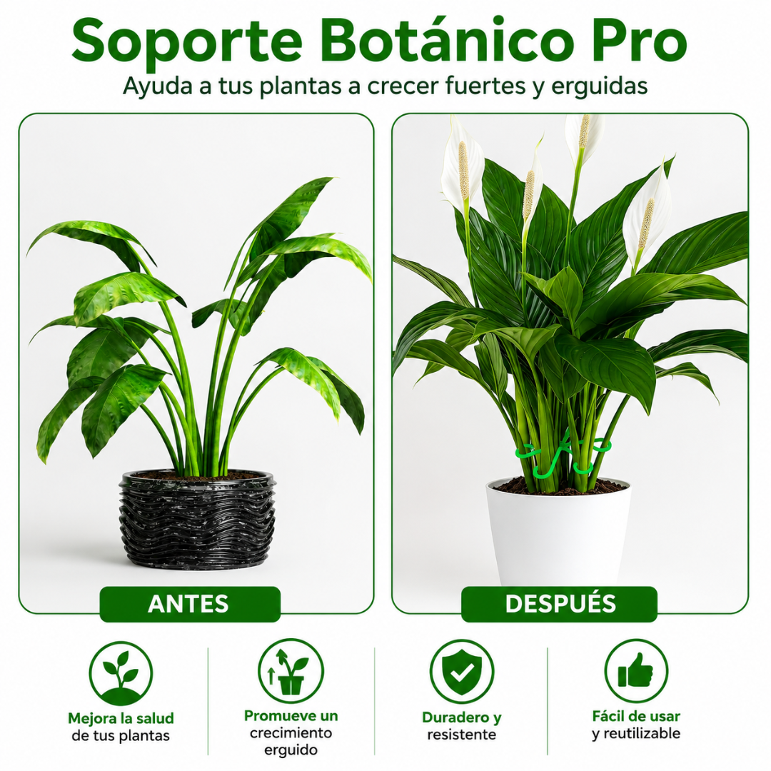 Estacas de Soporte Botánico Pro | Pack de 4 Guías para Tallos☘️🌱