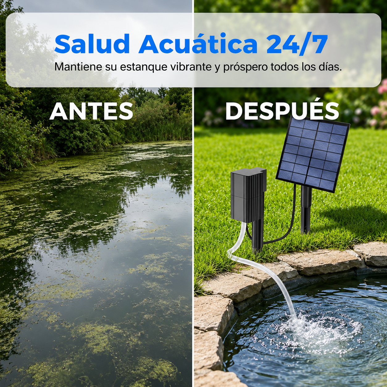 Aireador Solar para Estanques y Peceras con Bomba de Aire🐟🐡