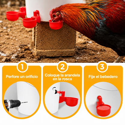 Set x5 Bebederos Automáticos para Aves de Corral 💧