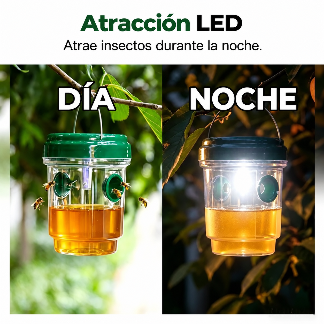 🍎🪰Trampa Solar para Moscas de la Fruta, Avispas e Insectos