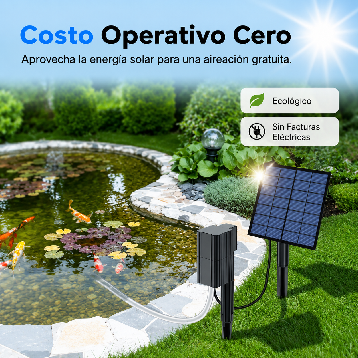 Aireador Solar para Estanques y Peceras con Bomba de Aire🐟🐡