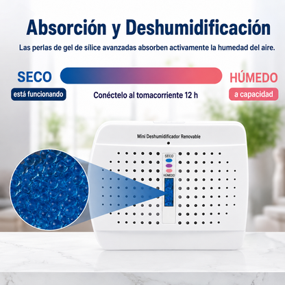 Deshumidificador Recargable para Armarios 🛡️✨