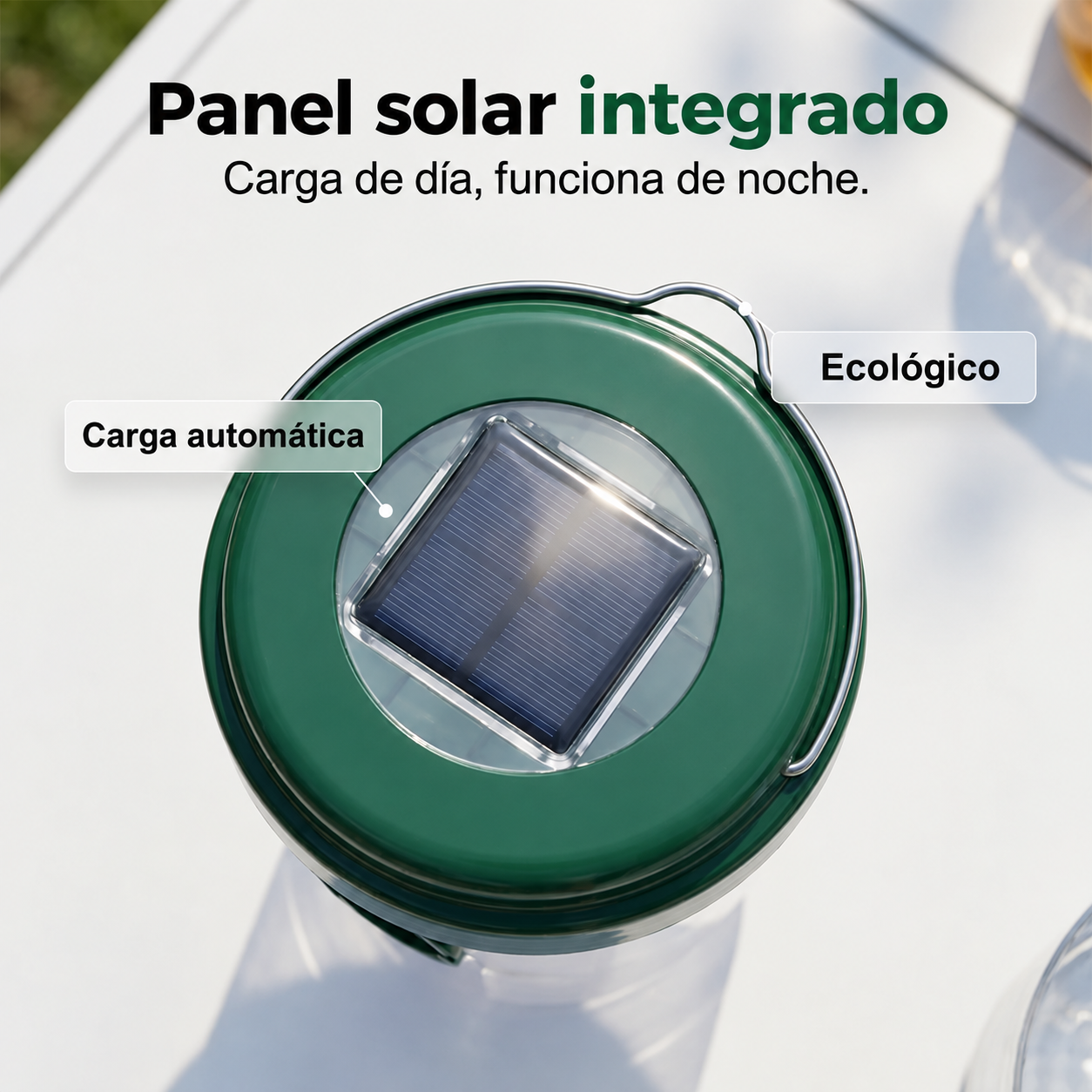 🍎🪰Trampa Solar para Moscas de la Fruta, Avispas e Insectos