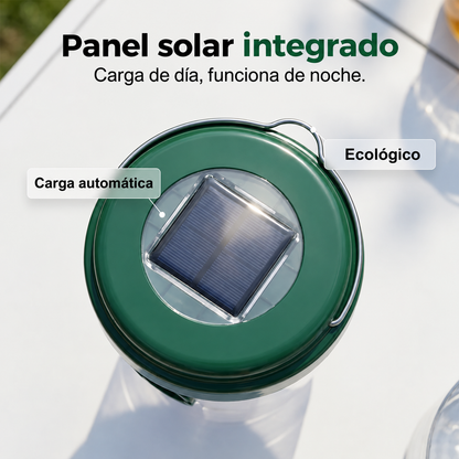 🍎🪰Trampa Solar para Moscas de la Fruta, Avispas e Insectos