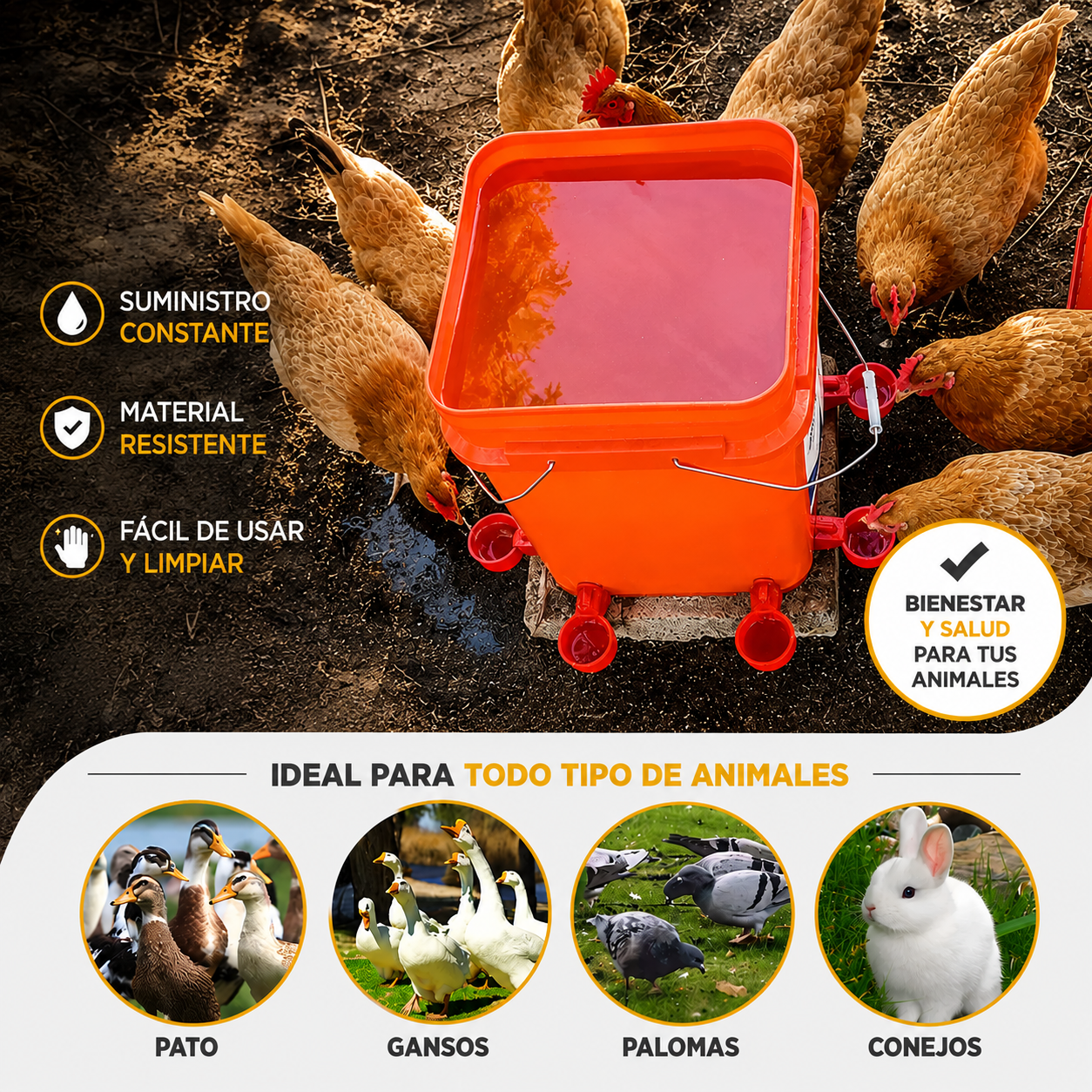 Set x5 Bebederos Automáticos para Aves de Corral 💧