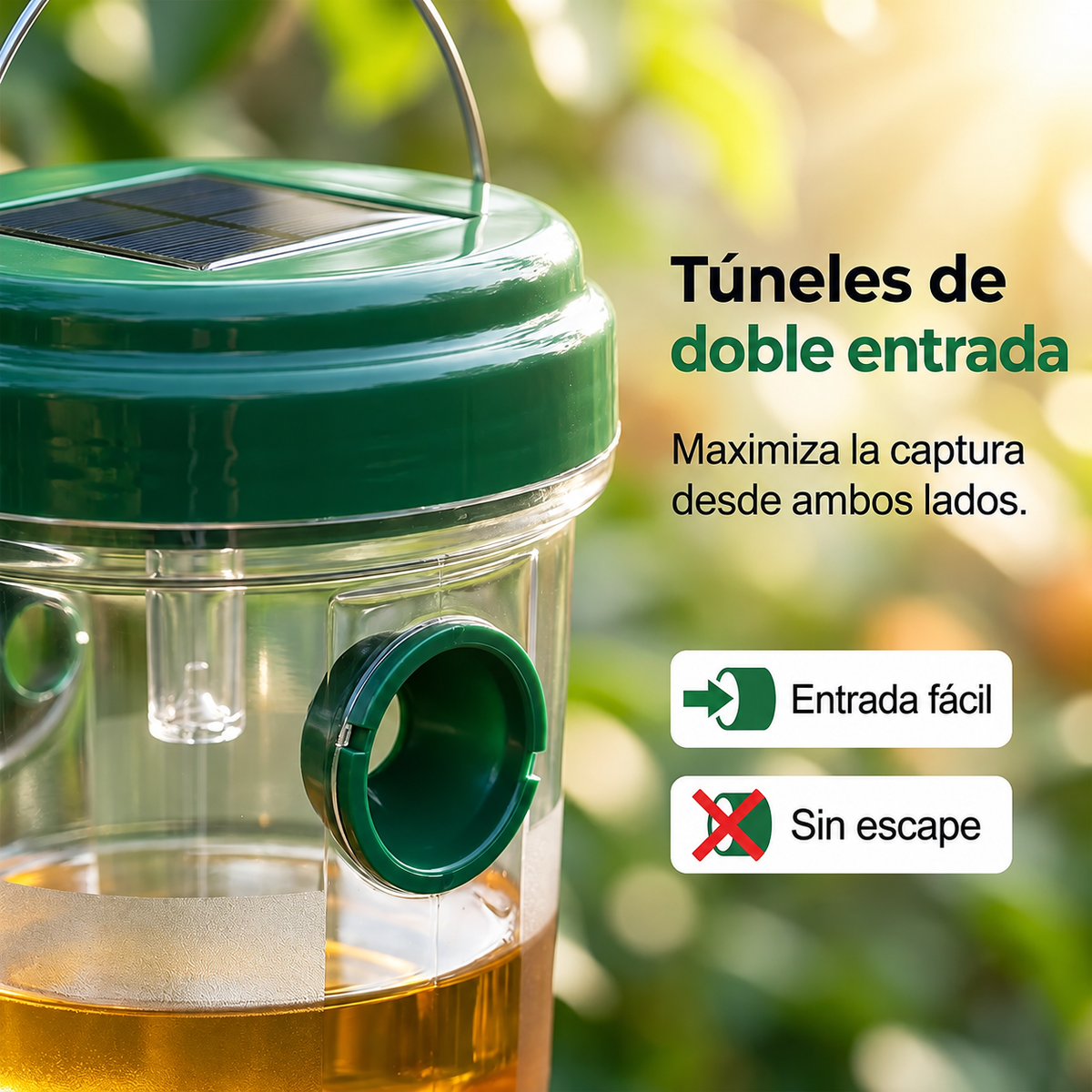 🍎🪰Trampa Solar para Moscas de la Fruta, Avispas e Insectos