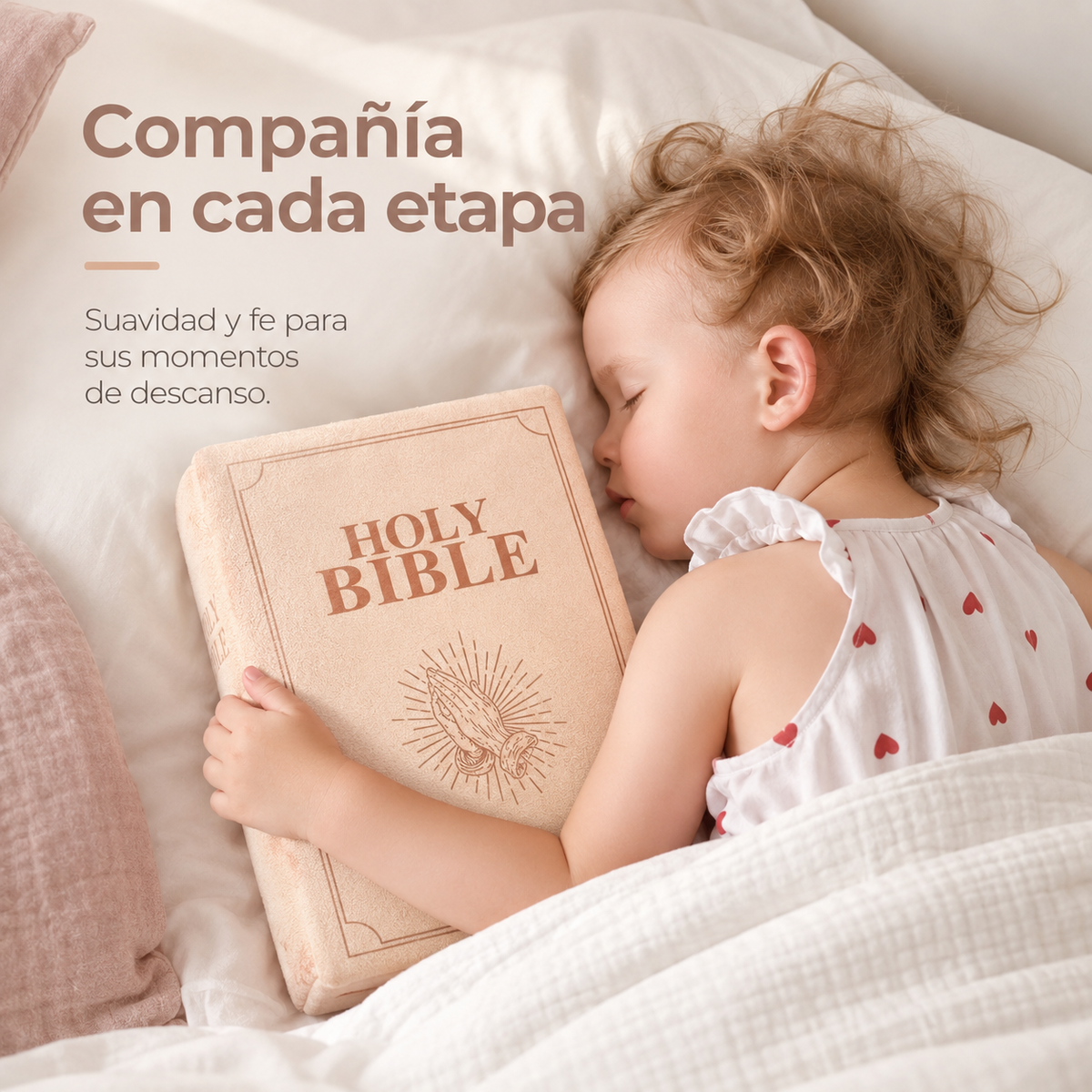 📖Almohada Santa Biblia 🕊️✨