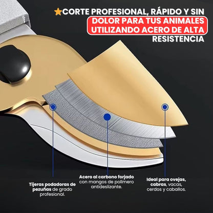 ✂️TIJERAS PARA PEZUÑAS PROFESIONAL: Máxima fuerza de corte para ganado y equinos