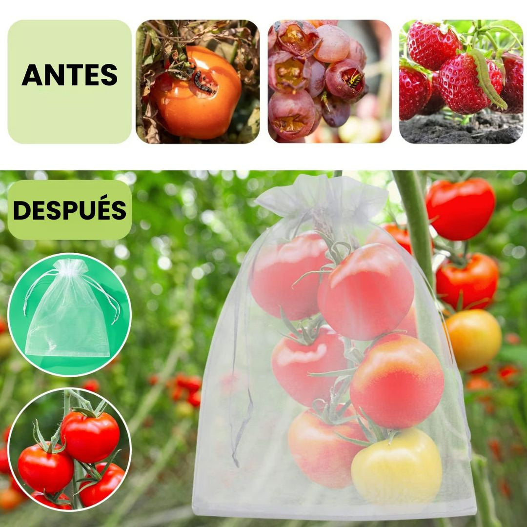 🍇 Bolsas de protección frutal: malla pro (pack x100)