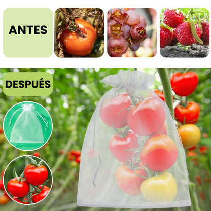 🍇 Bolsas de protección frutal: malla pro (pack x100)