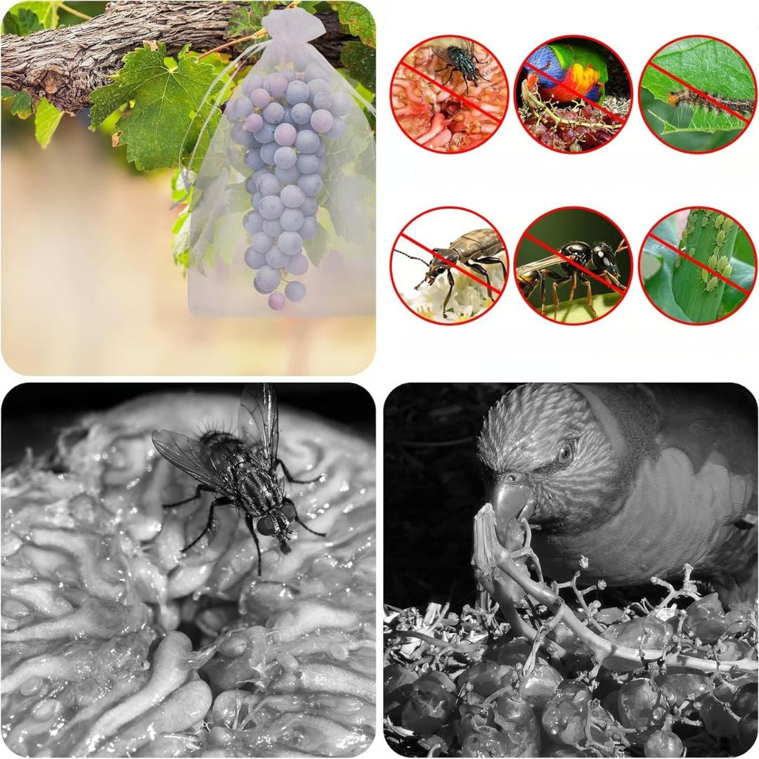 🍇 Bolsas de protección frutal: malla pro (pack x100)